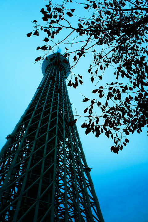 東京スカイツリー