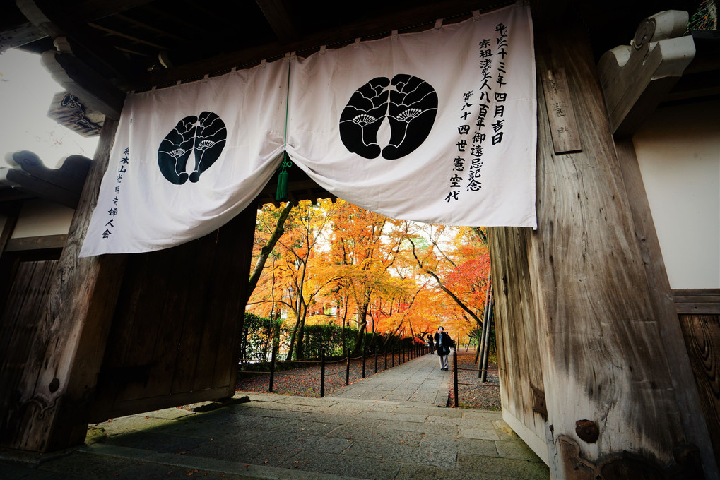 紅葉寺院