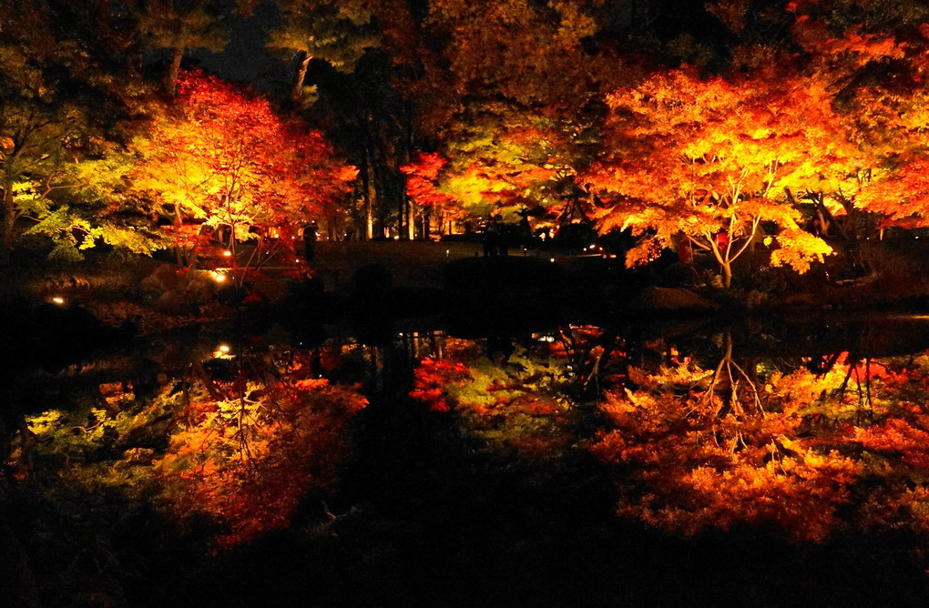 輝く庭園(2017年 太田黒庭園)