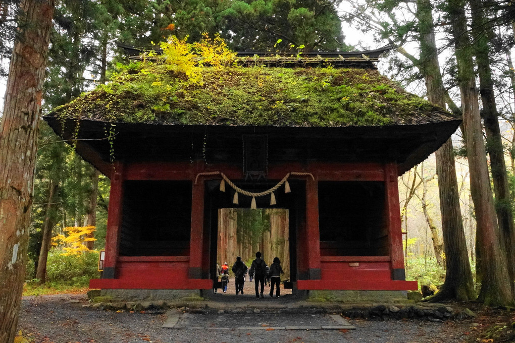 戸隠神社(2020.10.24)