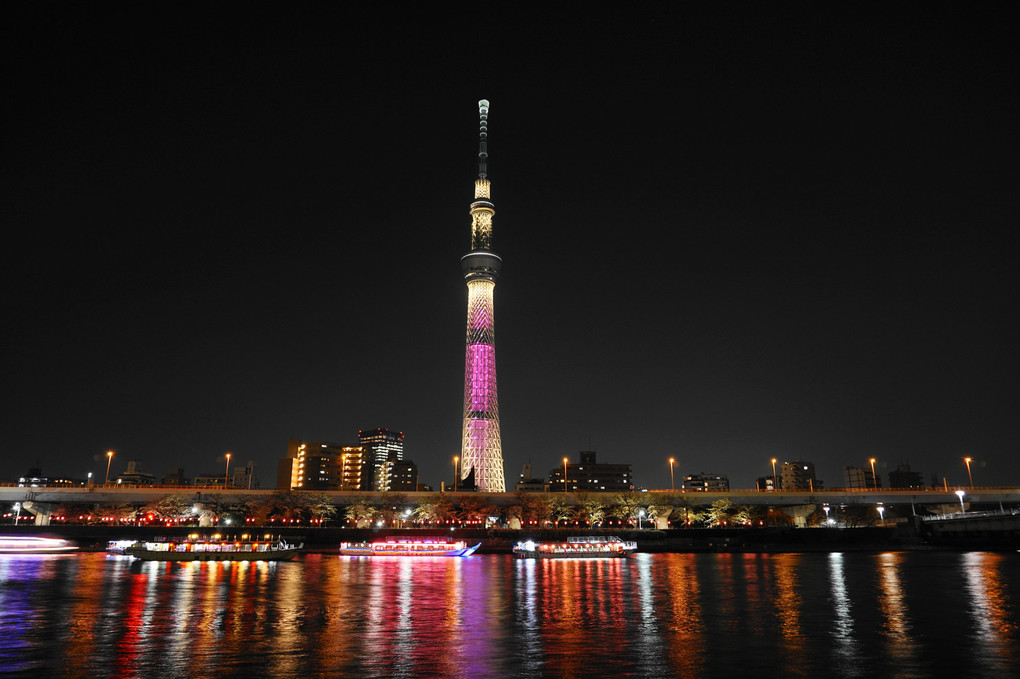 夜のスカイツリー(2019.3.26)