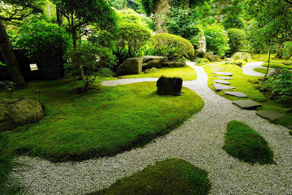 鎌倉の苔庭(2022.6.17)