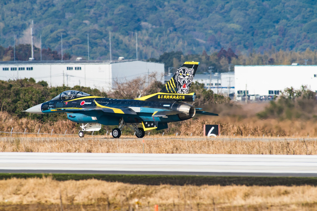 第8飛行隊60周年記念塗装機　F-2A