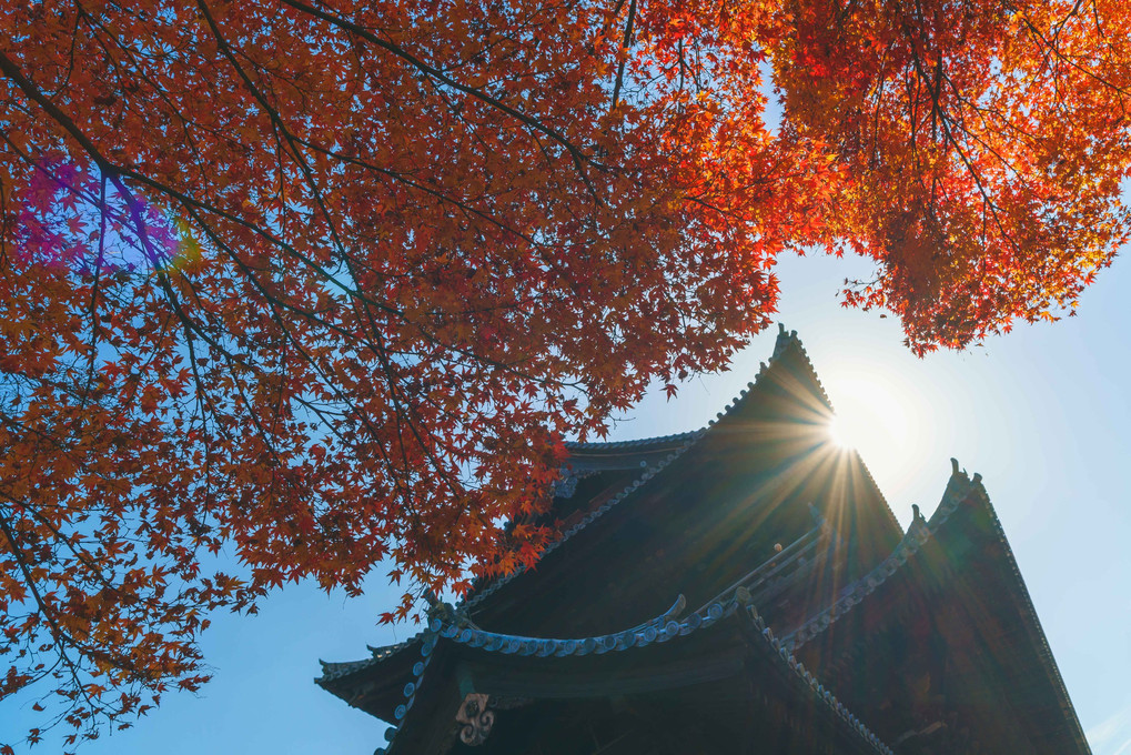 京都東山、紅葉散歩