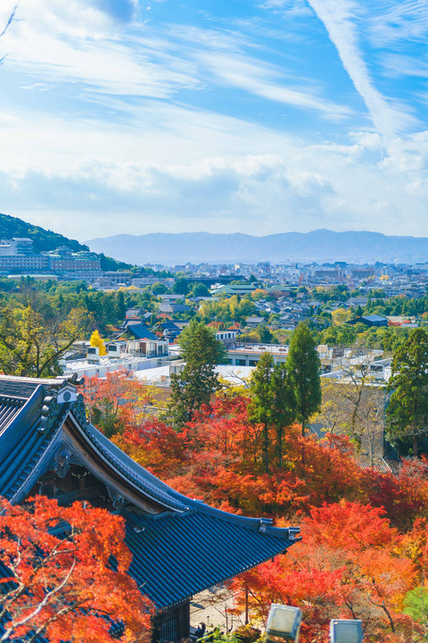 京都東山、紅葉散歩