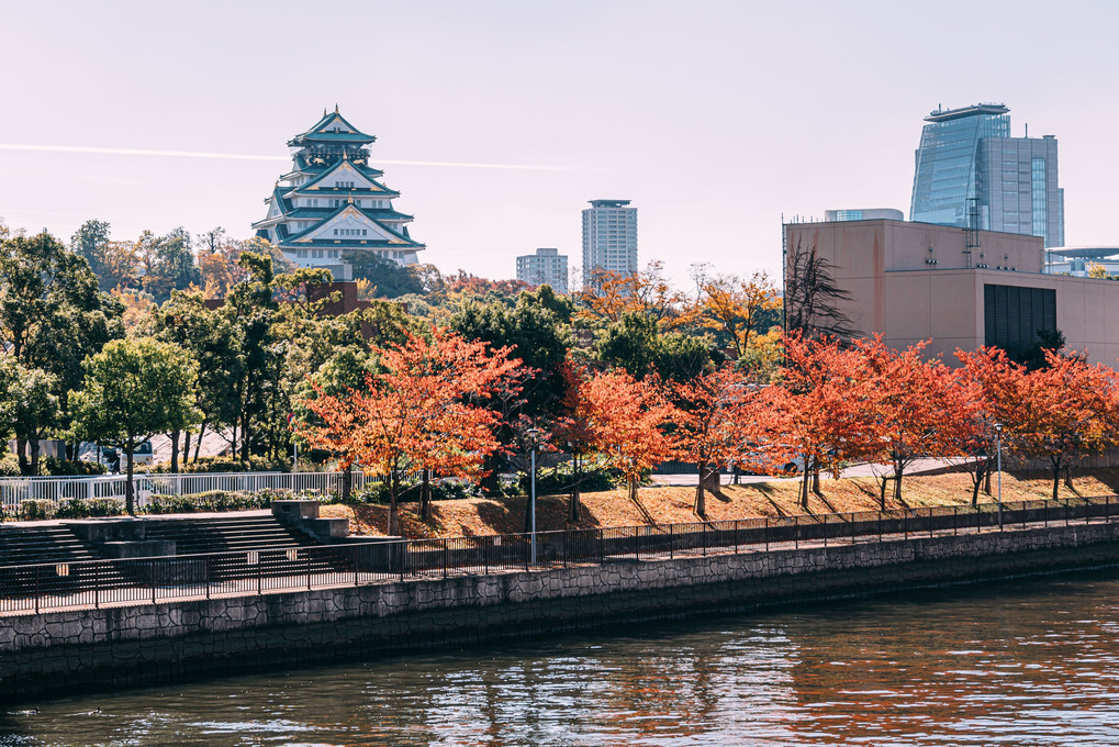 秋の大阪城。