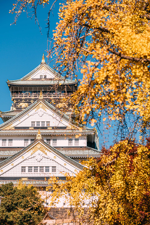 秋の大阪城。