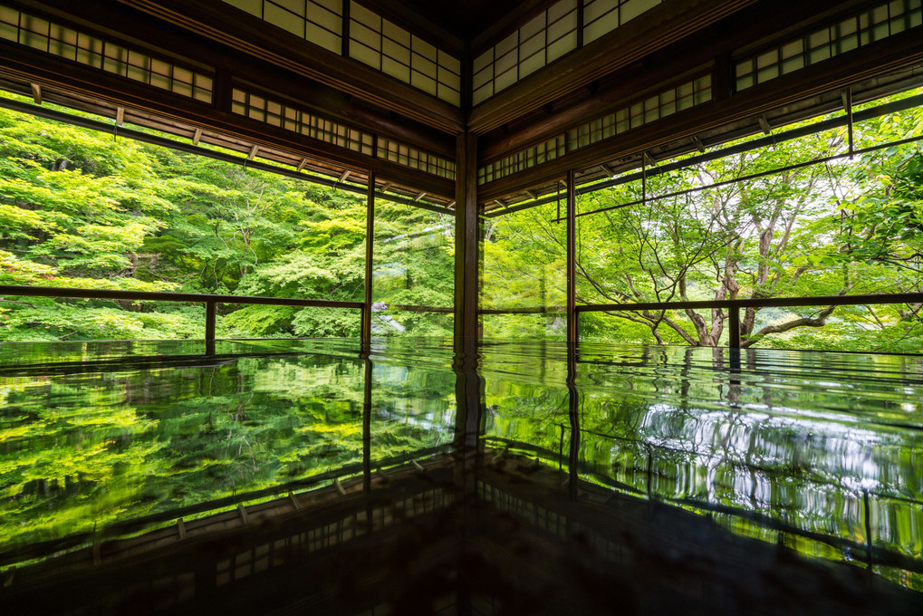 初夏の瑠璃光院―。