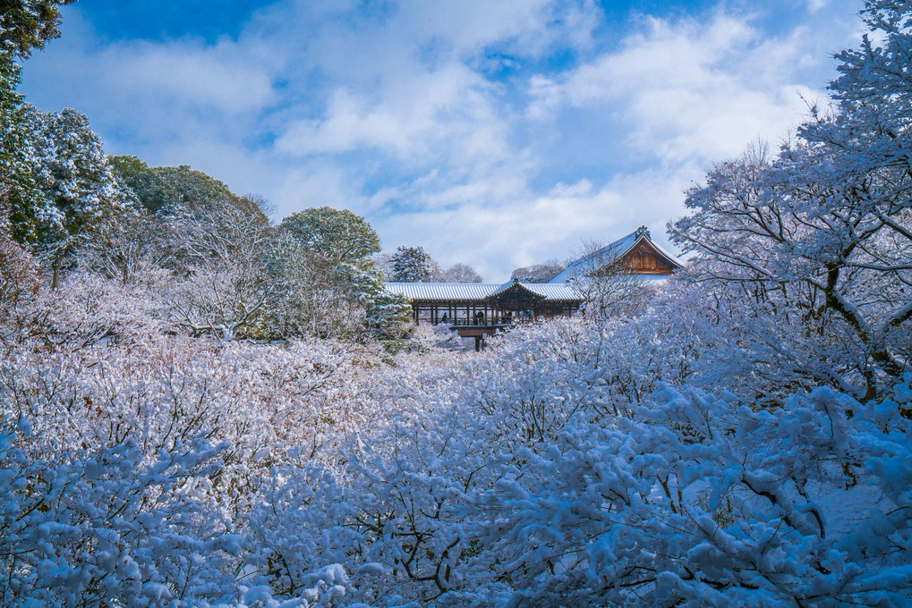 東福寺の雪景色―。