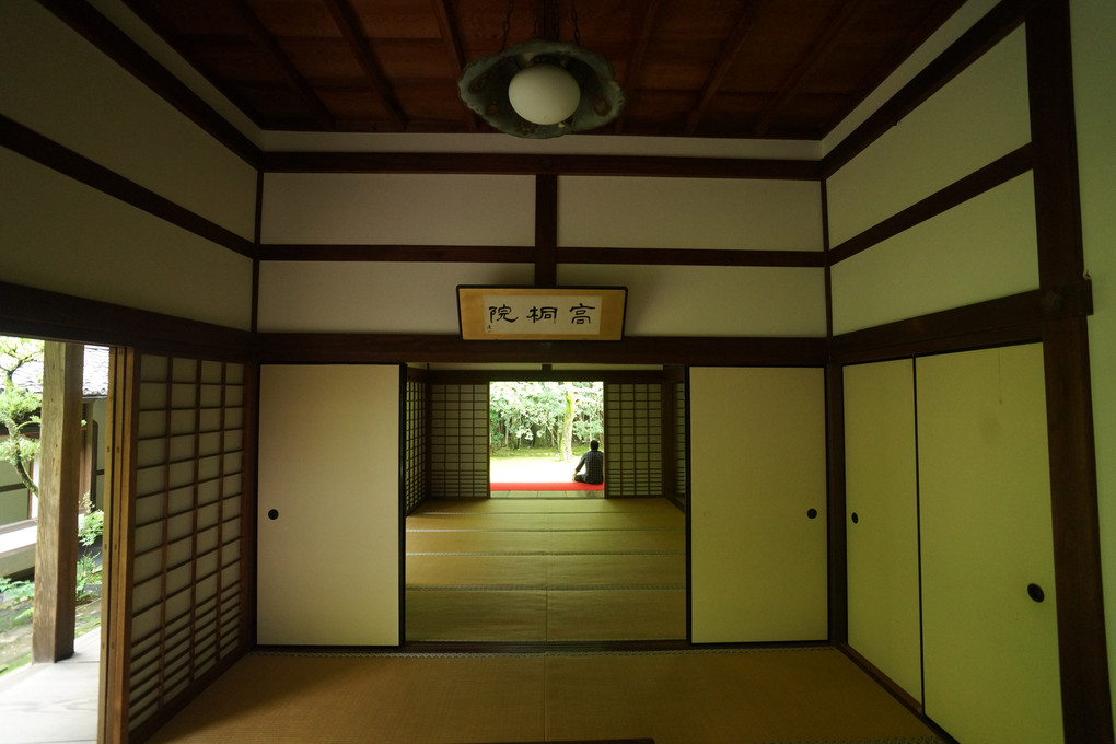 京都　紫野　高桐院
