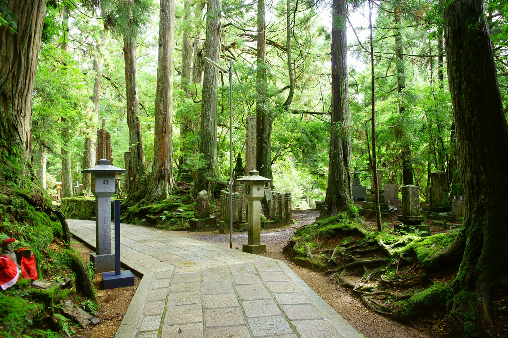 ２０１５高野山　奥の院　参道