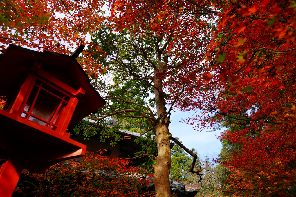 京都亀岡　鍬山神社