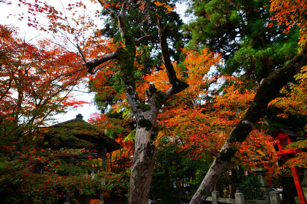 京都亀岡　鍬山神社