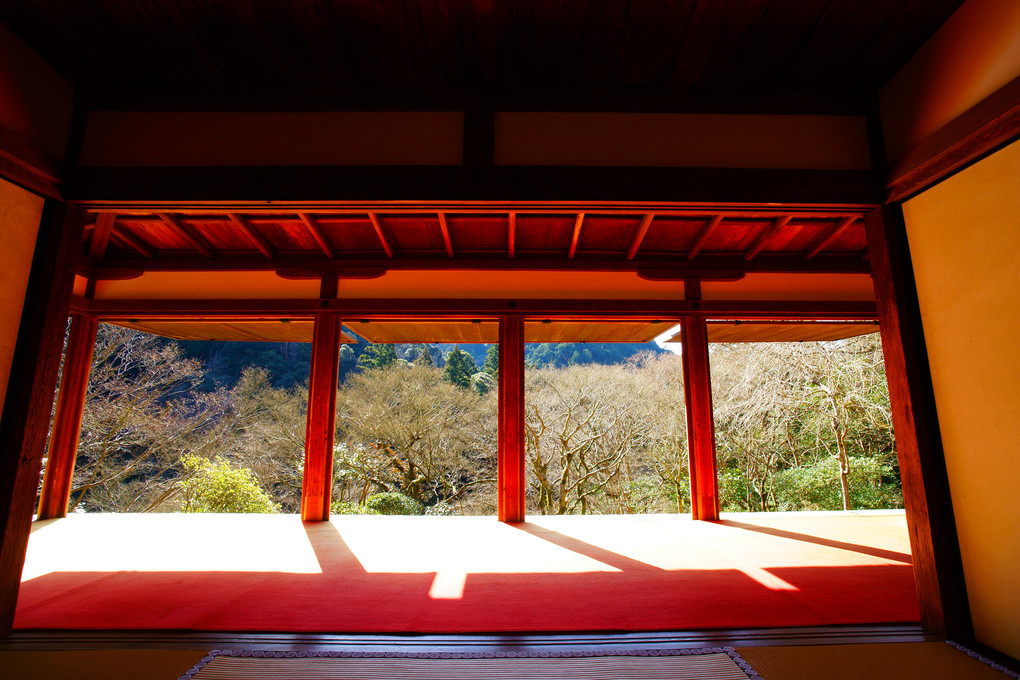 京都　栂尾山　高山寺