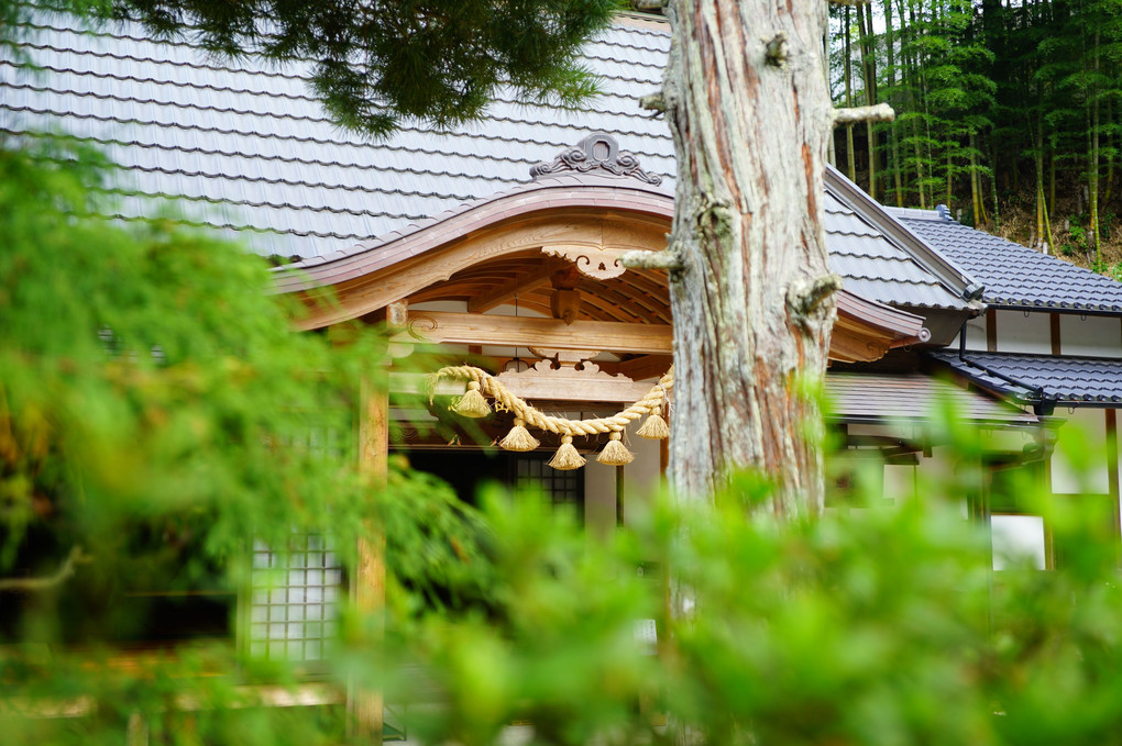 京都　正寿院