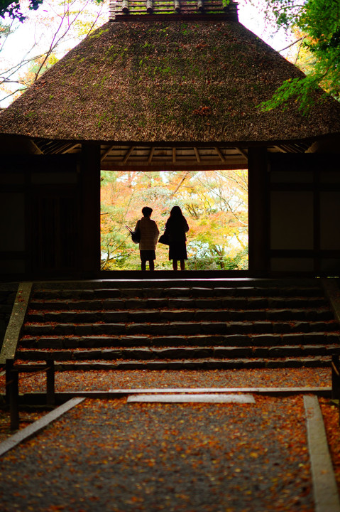 法然院　紅葉