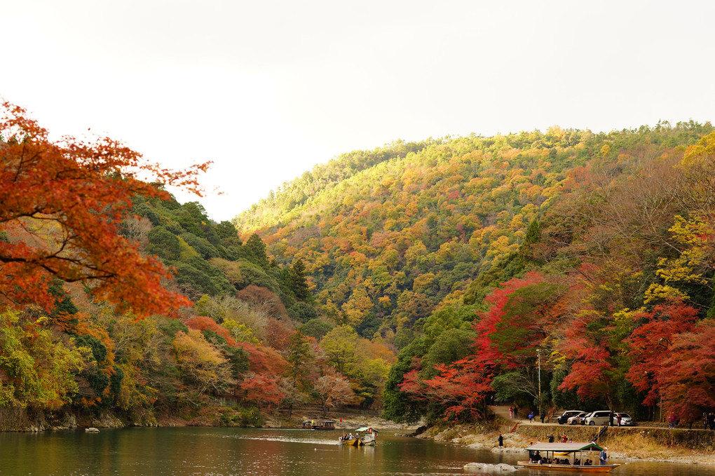 嵐山　紅葉