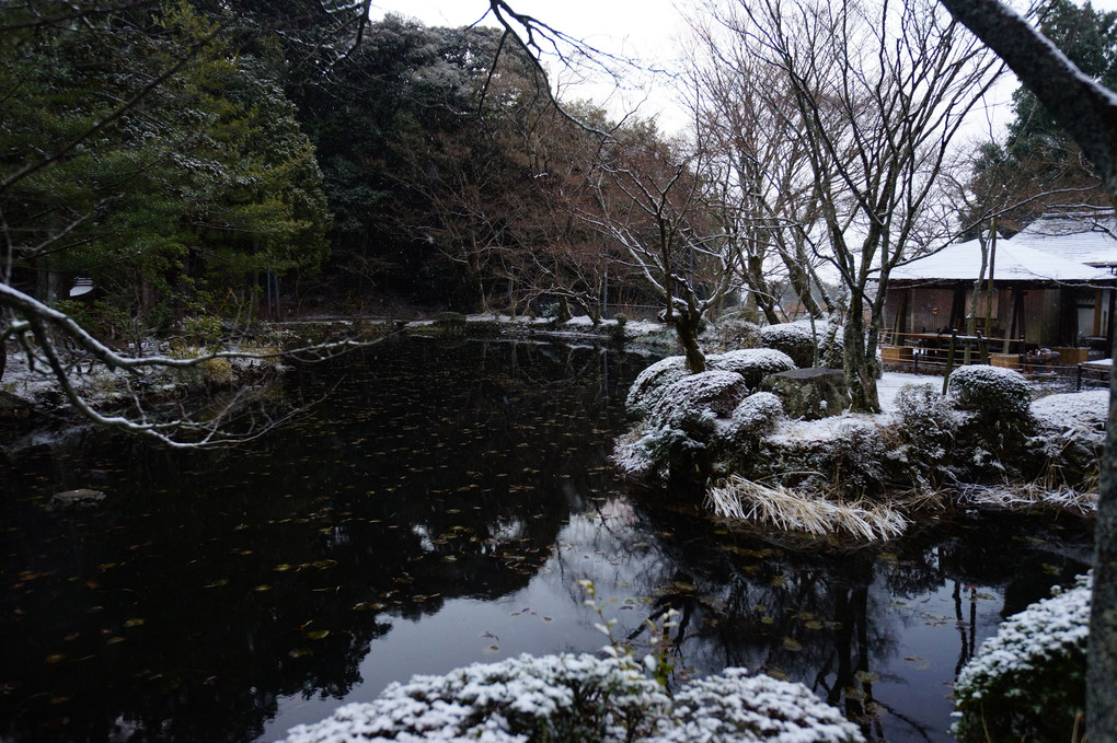 雪の大原野神社