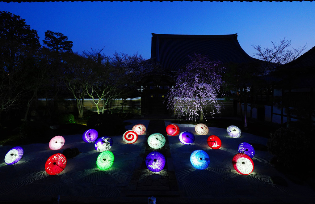 京都妙顕寺　ライトアップ