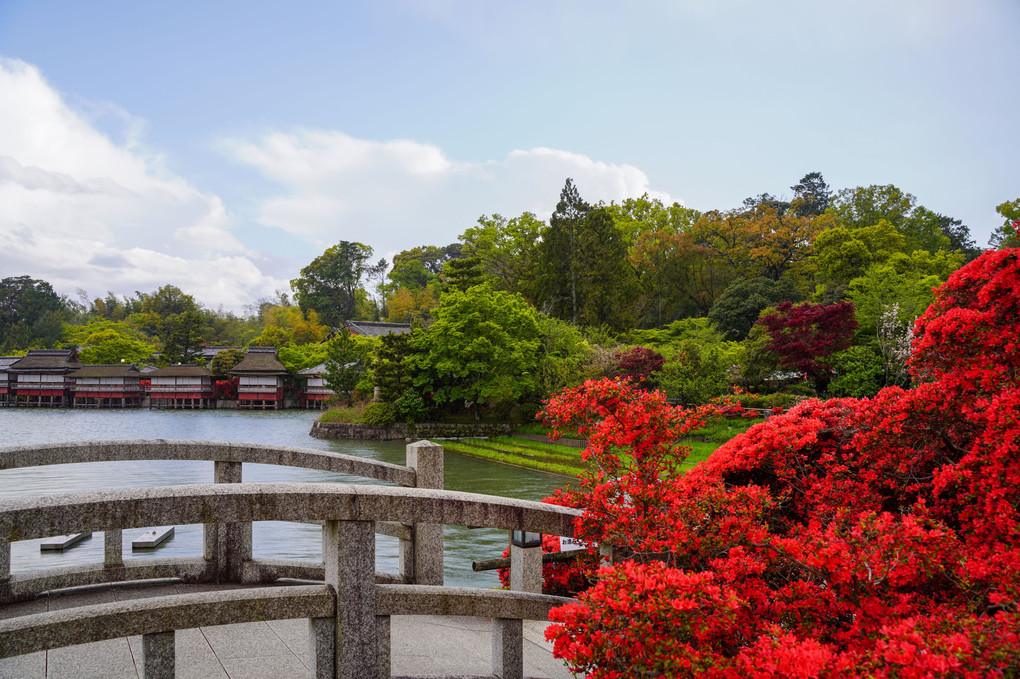 京都　長岡天満宮