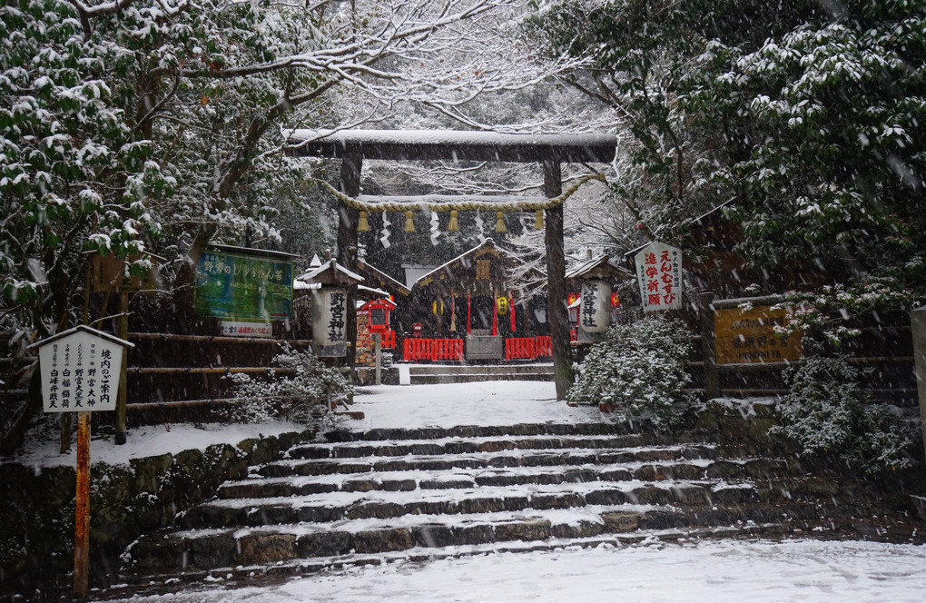 雪の野宮神社