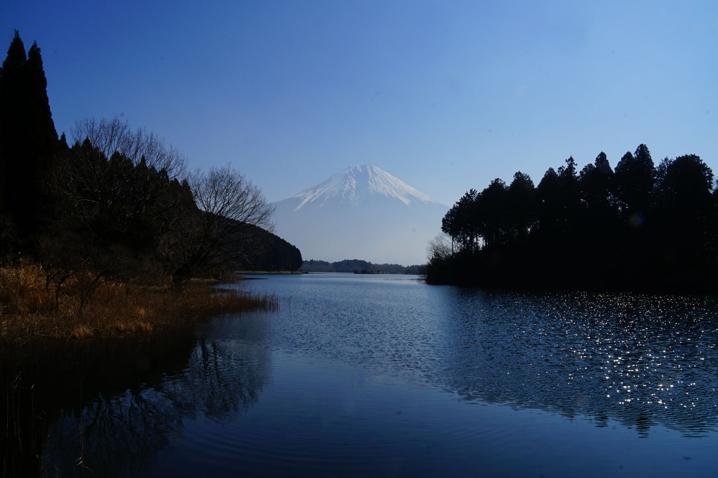 田貫湖から富士をのぞんで