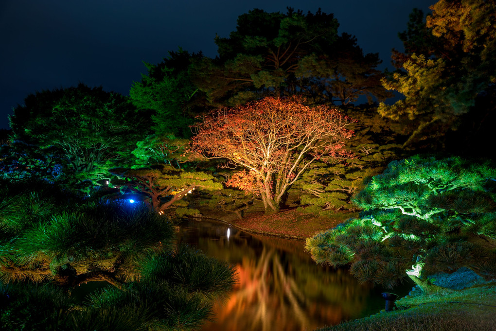 栗林公園～秋のライトアップ2016～