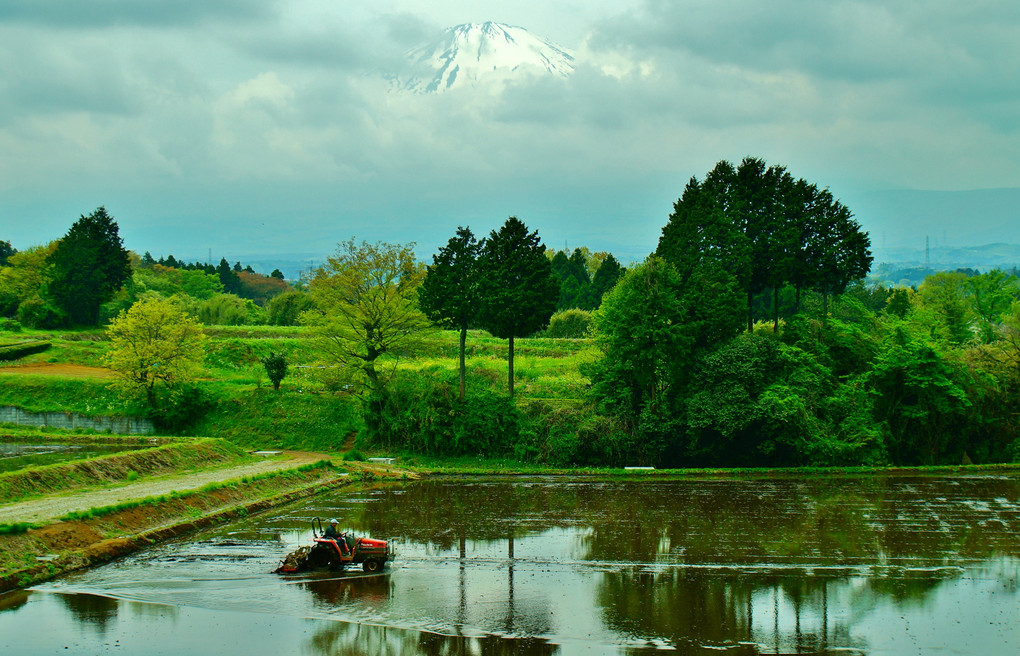 富士山を望む田園風景