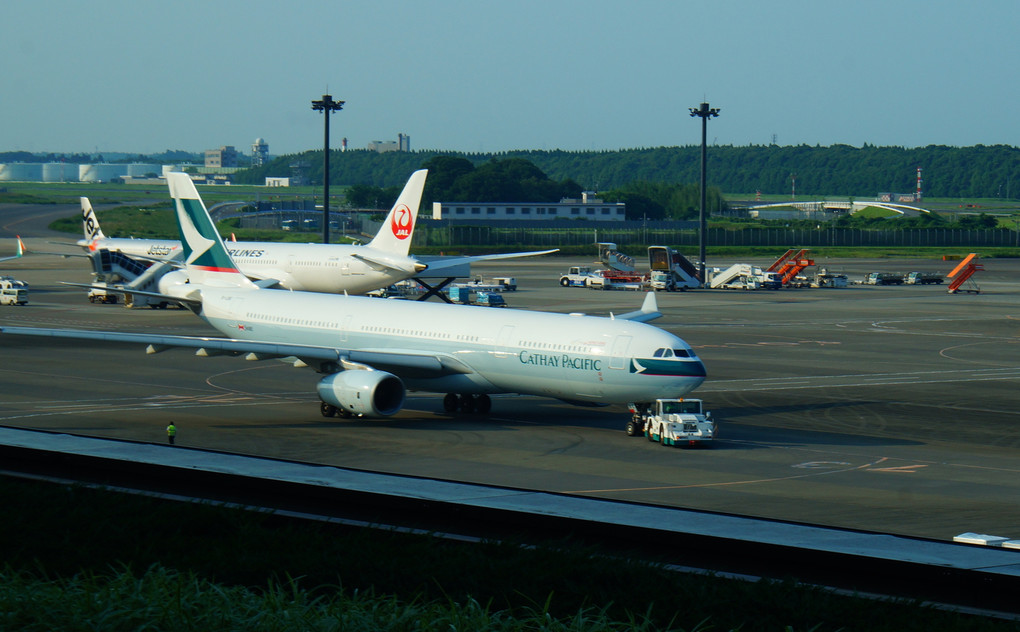 成田国際空港の発着便ラッシュアワーがすごいですね～・
