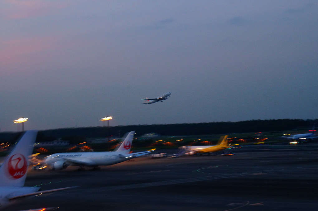 成田国際空港の発着便ラッシュアワーがすごいですね～・