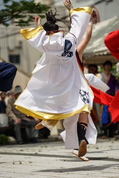 黒崎よさこい祭り