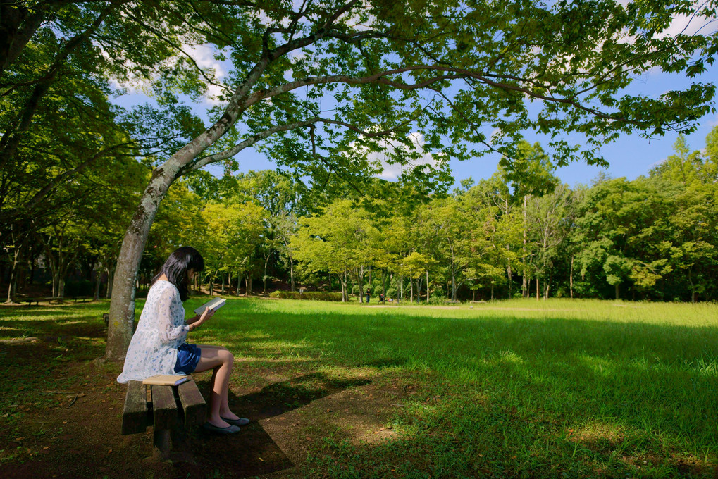 読書