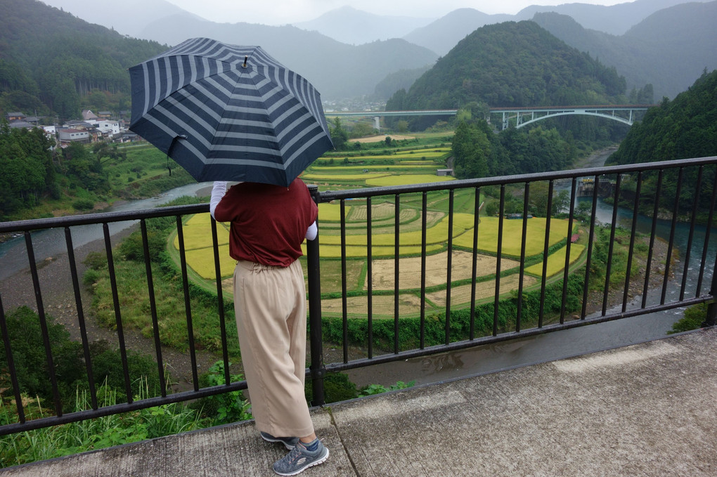 天気に恵まれなかったあらぎ島