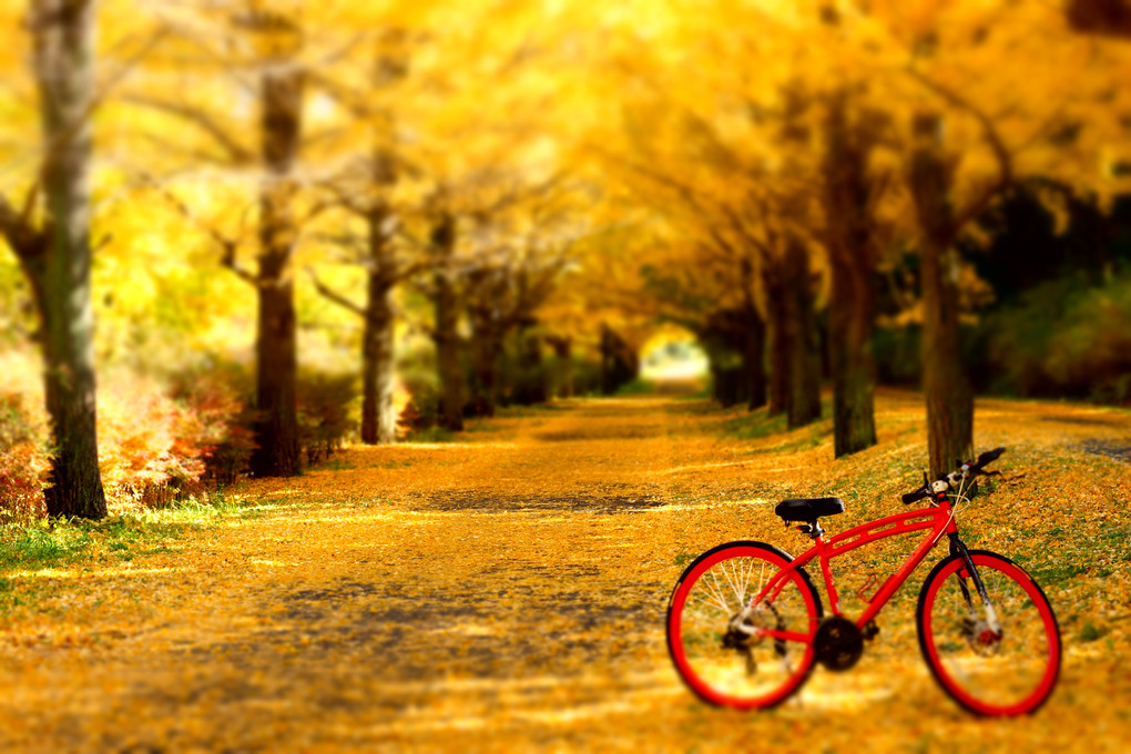  自転車に乗って公園に行こう