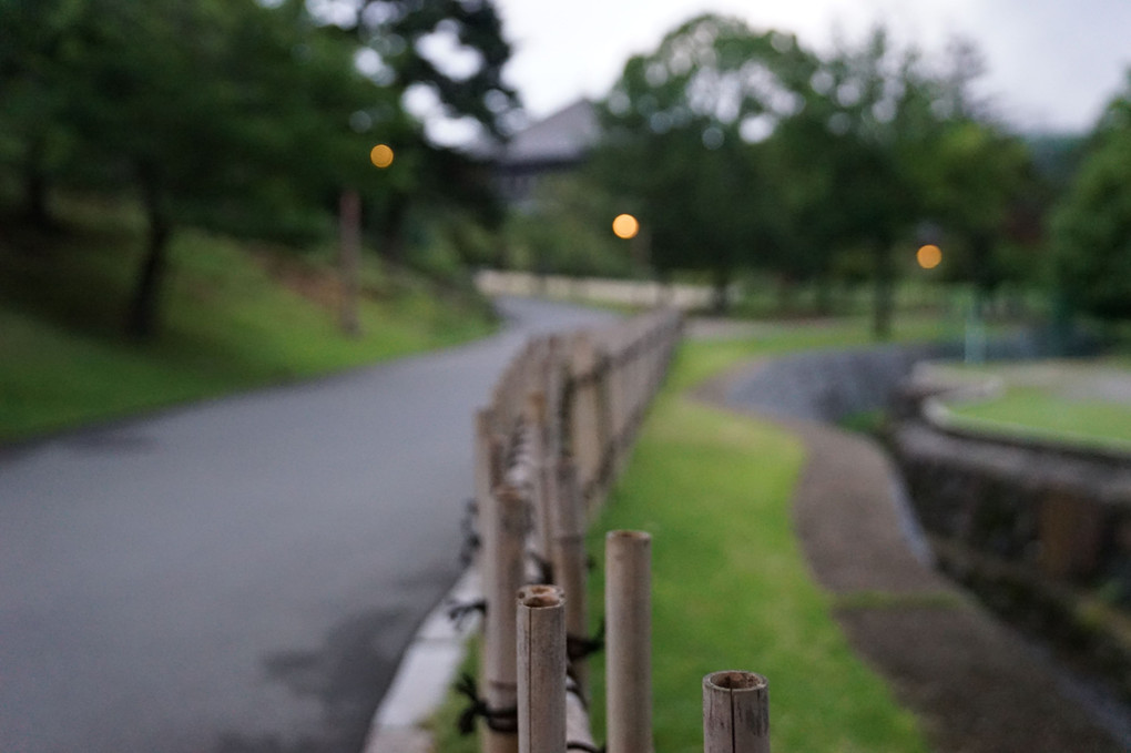 奈良の小道☆