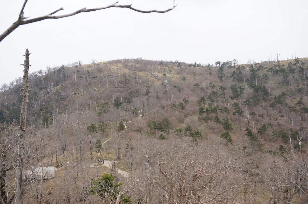 大台ケ原