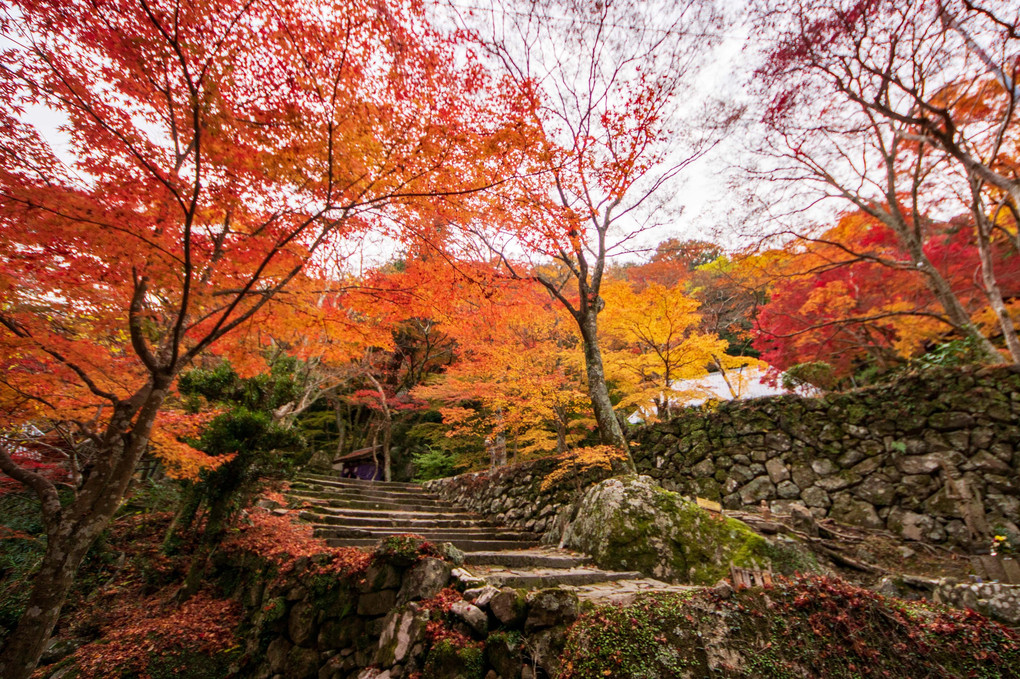 山寺の秋彩
