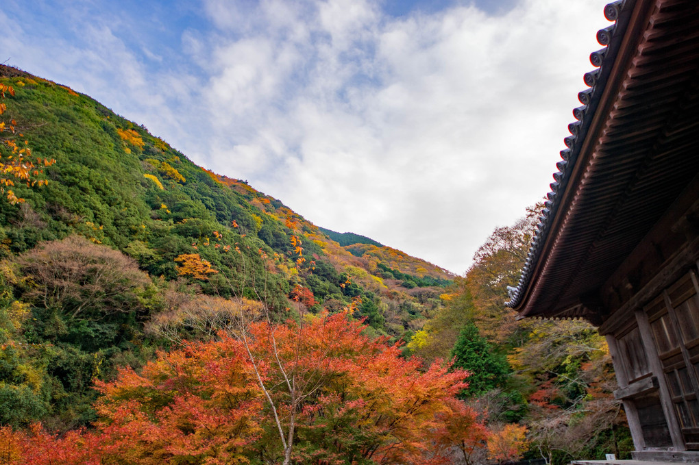 山寺の秋彩