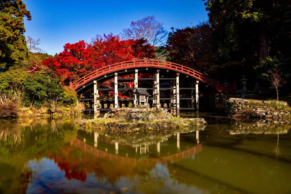 紅葉に染まる