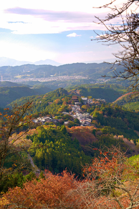 吉野山の秋彩