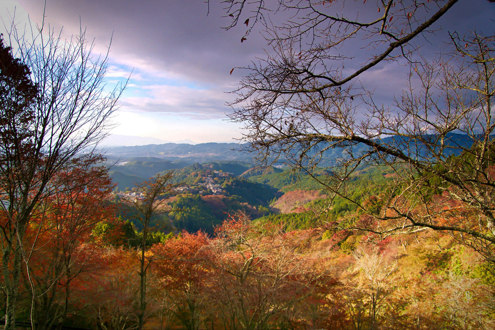 吉野山の秋彩