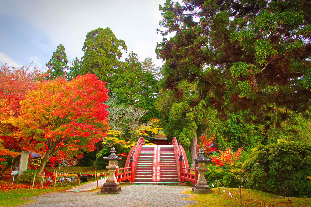 輪橋の紅葉