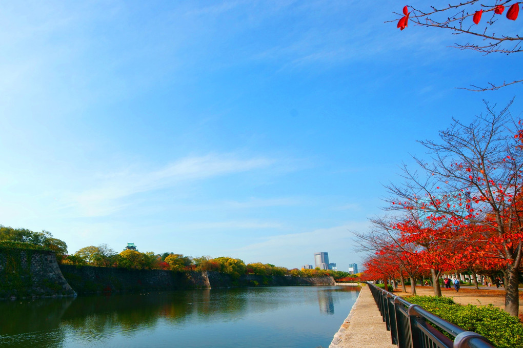 大阪城の秋色