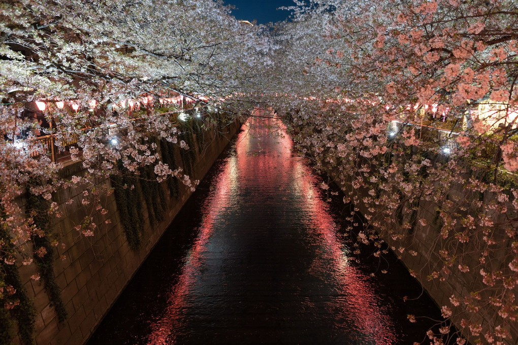 また来年。