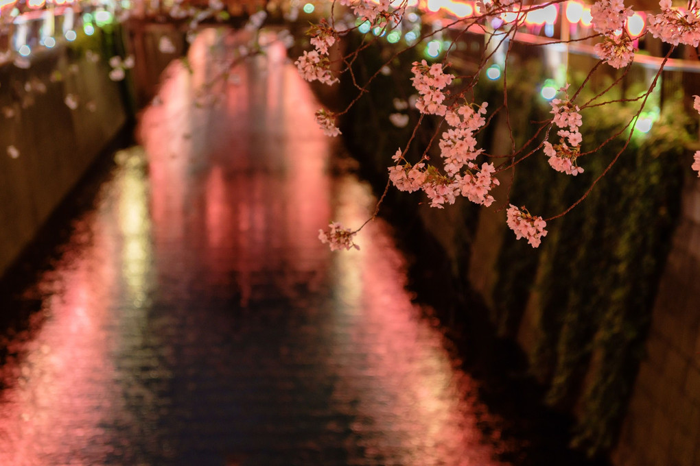 また来年。