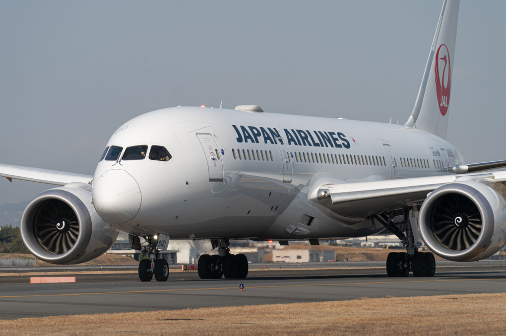 JAL Boeing787-8