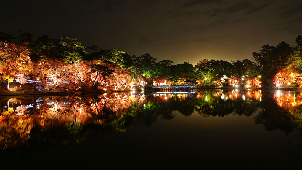 岡崎東公園紅葉ライトアップ