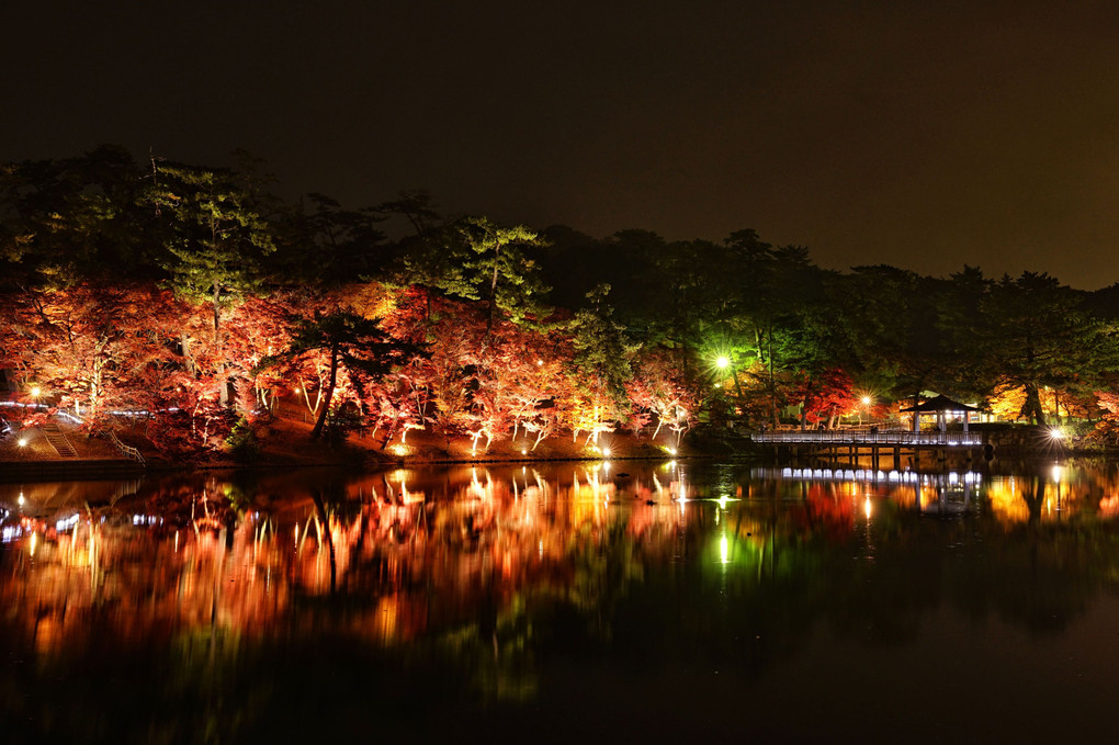 岡崎東公園紅葉ライトアップ
