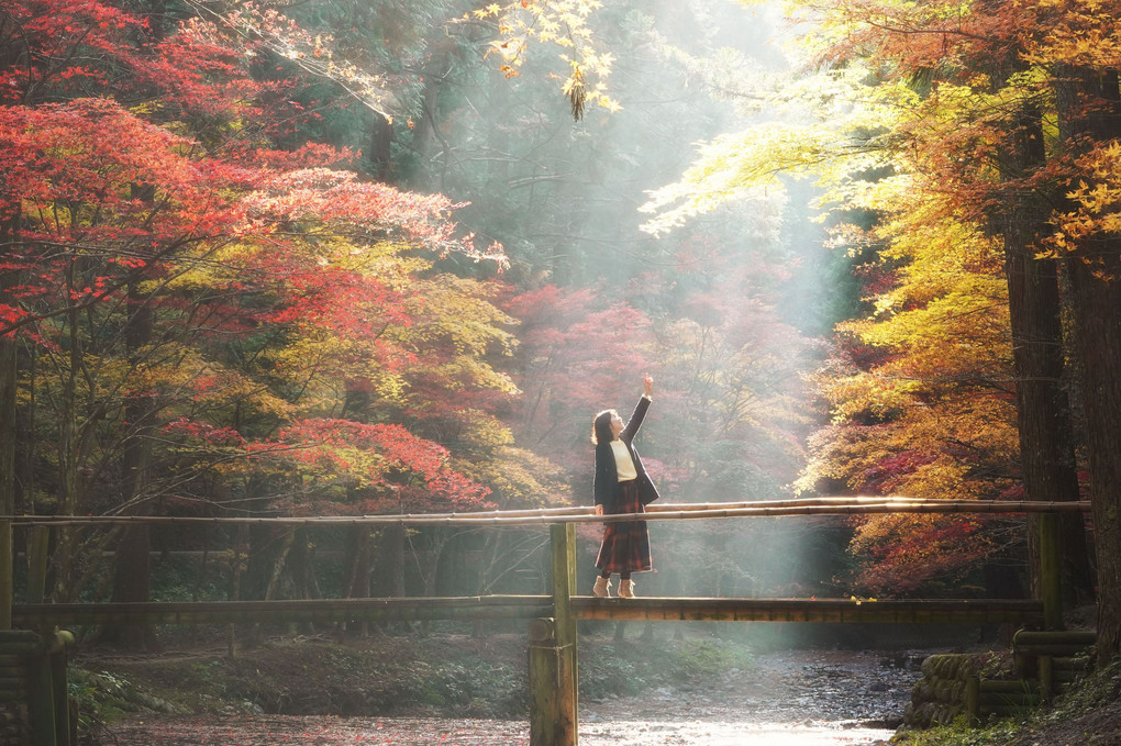 祝福の光差し込む