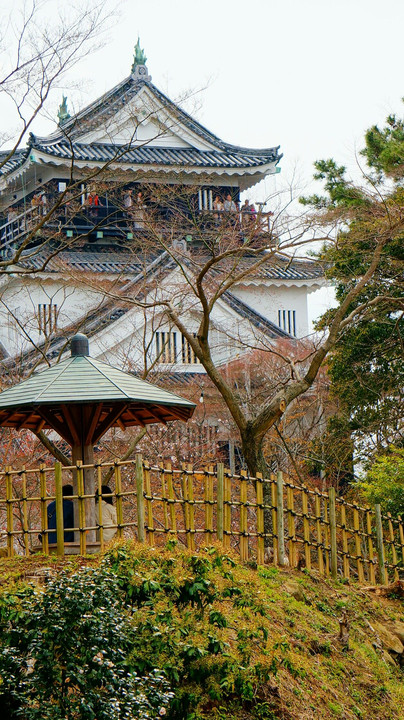 龍城(岡崎城)と桜のコラボ
